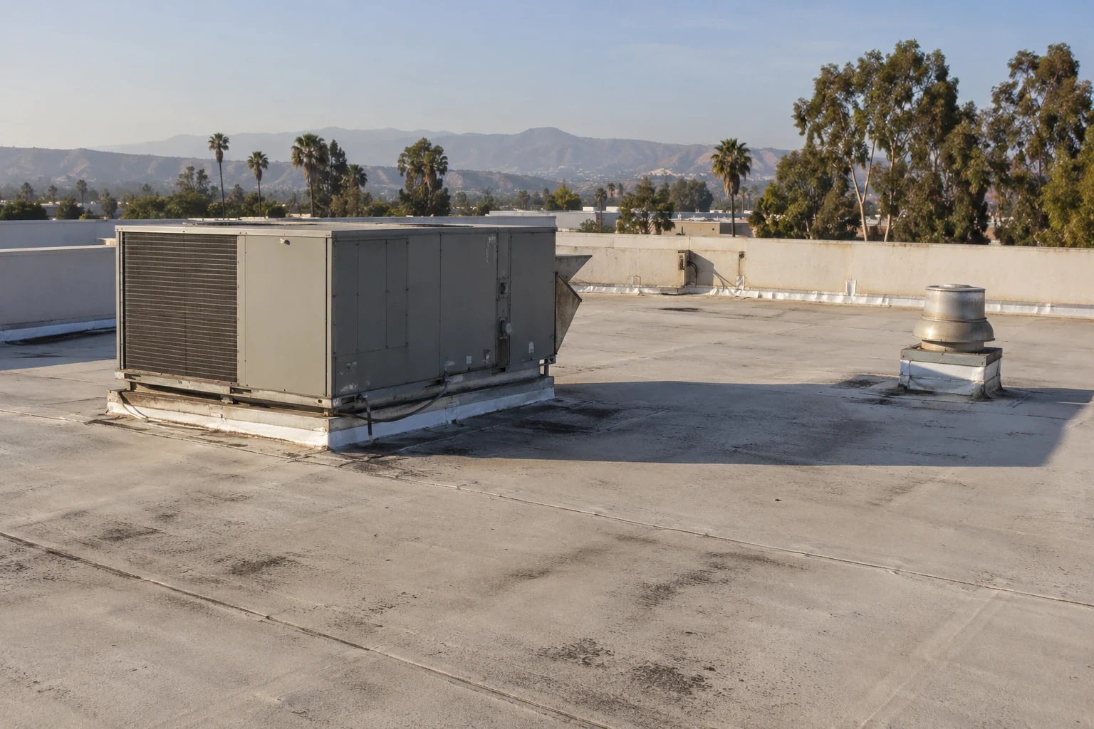 Warehouse roof