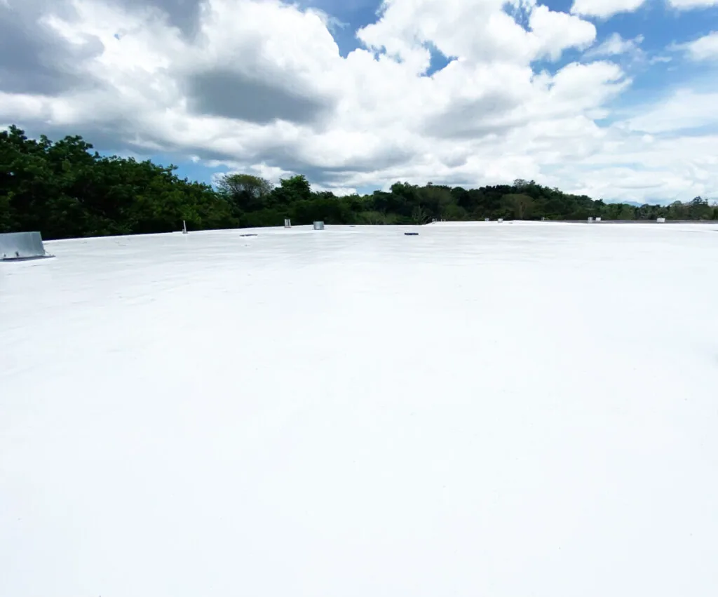 Silicone Roof Coatings in Tracy, CA
